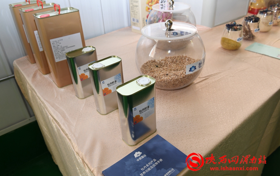 第四屆洽川旅游文化季牡丹嘉年華精彩紛呈 美食美景等你來解鎖（組圖）