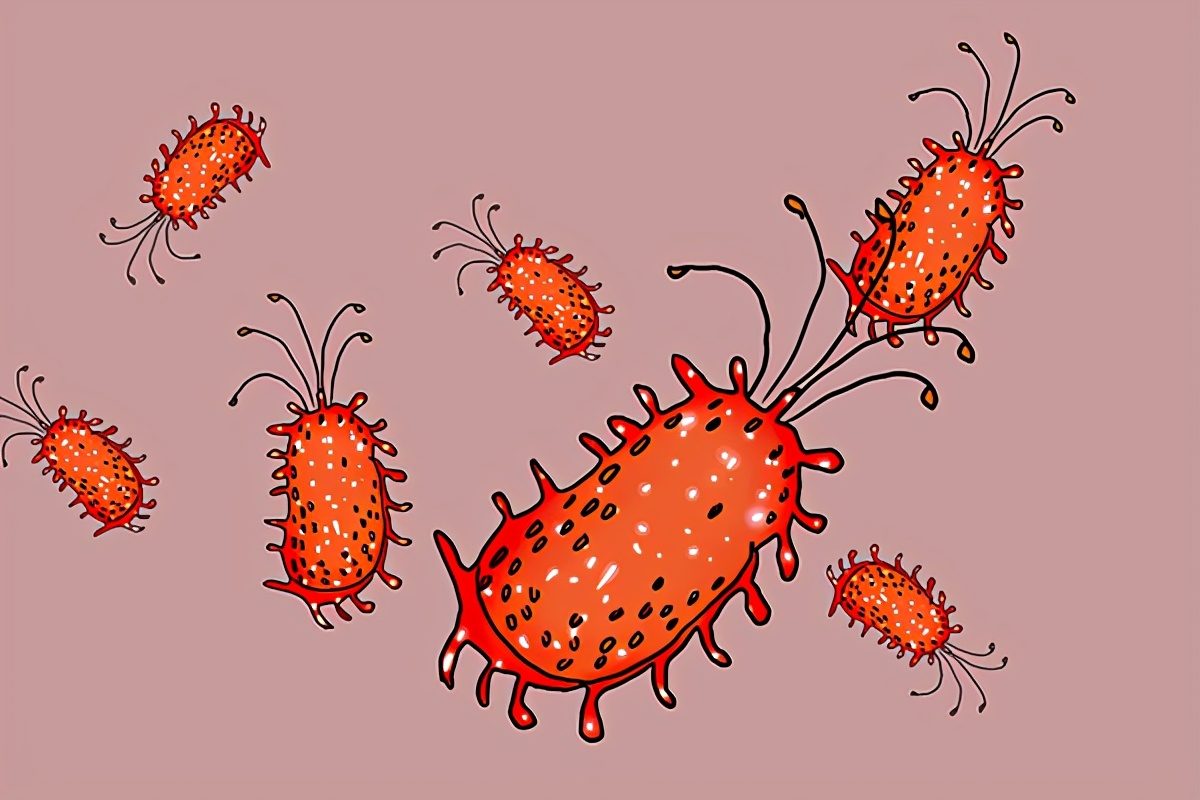 饅頭放在冰箱超過3天，容易產生致癌物黃曲霉素，是真的嗎？