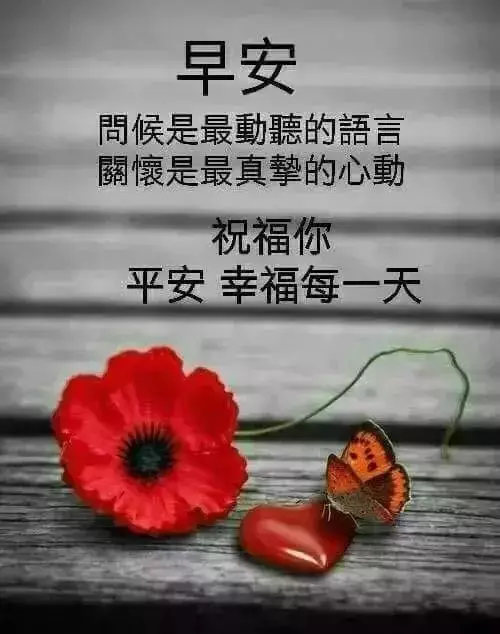 早上好问候语图片大 早晨祝福语表情图片