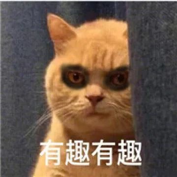 苹果秋季发布会无iPhone 12！五大新品iPad Air 4 & iPad 8 Apple Watch Se