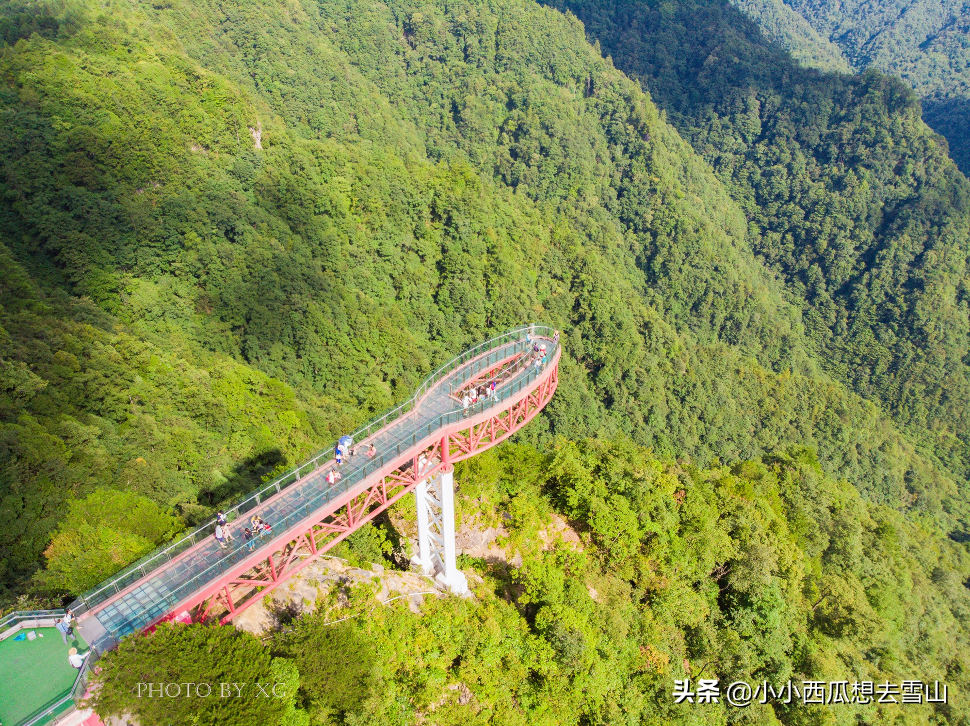 重庆最美的原始森林，是理想的避暑胜地之一，