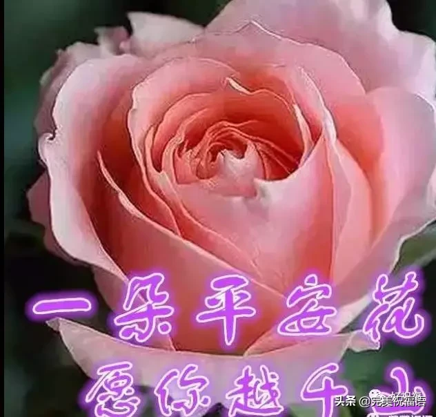 不管|初二早上好不管你身在何方 收到这份祝福你就是最有福的