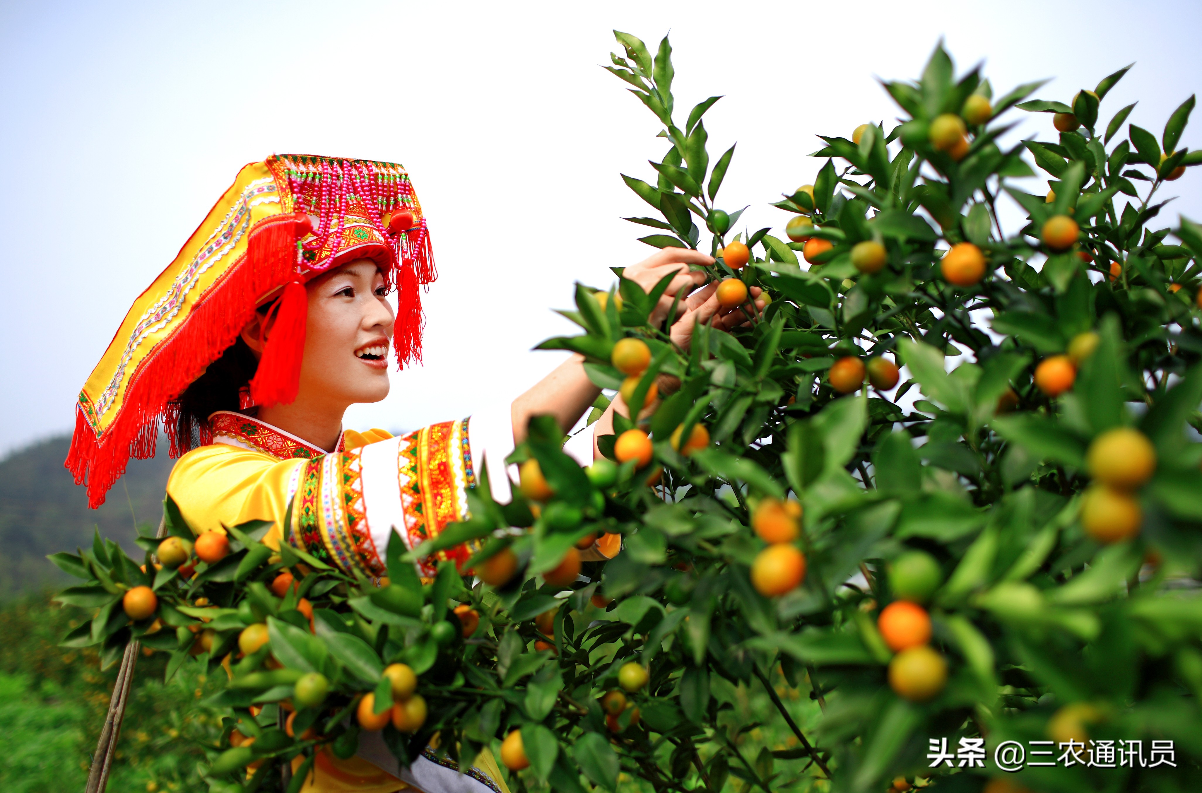 广西水果全国第一不简单，原因有这些