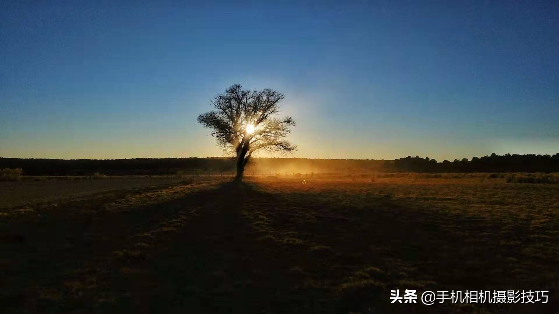 In the winter, what kind of photograph to pat to encircle market support more easily in the friend? These 16 pieces of photographs give you inspiration