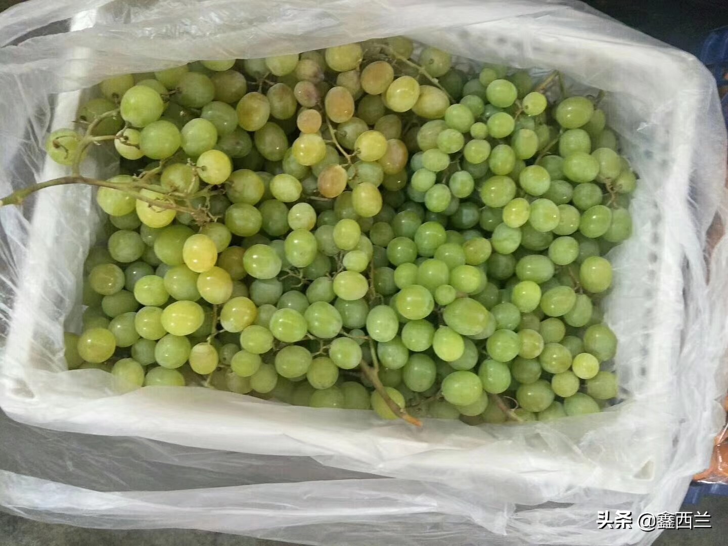 电商老炮对疫情过后，蔬菜产业发展的一些看法