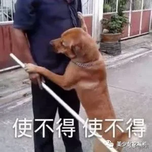 顶流女网红为送男友出道开娱乐公司,这就是富婆的快乐?