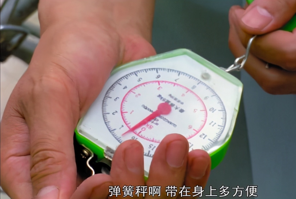 一部23年前底层公务员生活图鉴，成人后才看懂其