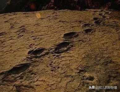 世界6大未解之谜,它们都曾真实发生过,却至今无法解释-第2张图片-大千世界 世界6大未解之谜,它们都曾真实发生过,却至今无法解释-第2张图片-大千世界