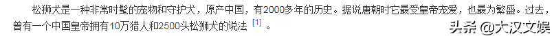 这个组合存在的意义是什么？感觉像是侮辱人的表演涉嫌辱华