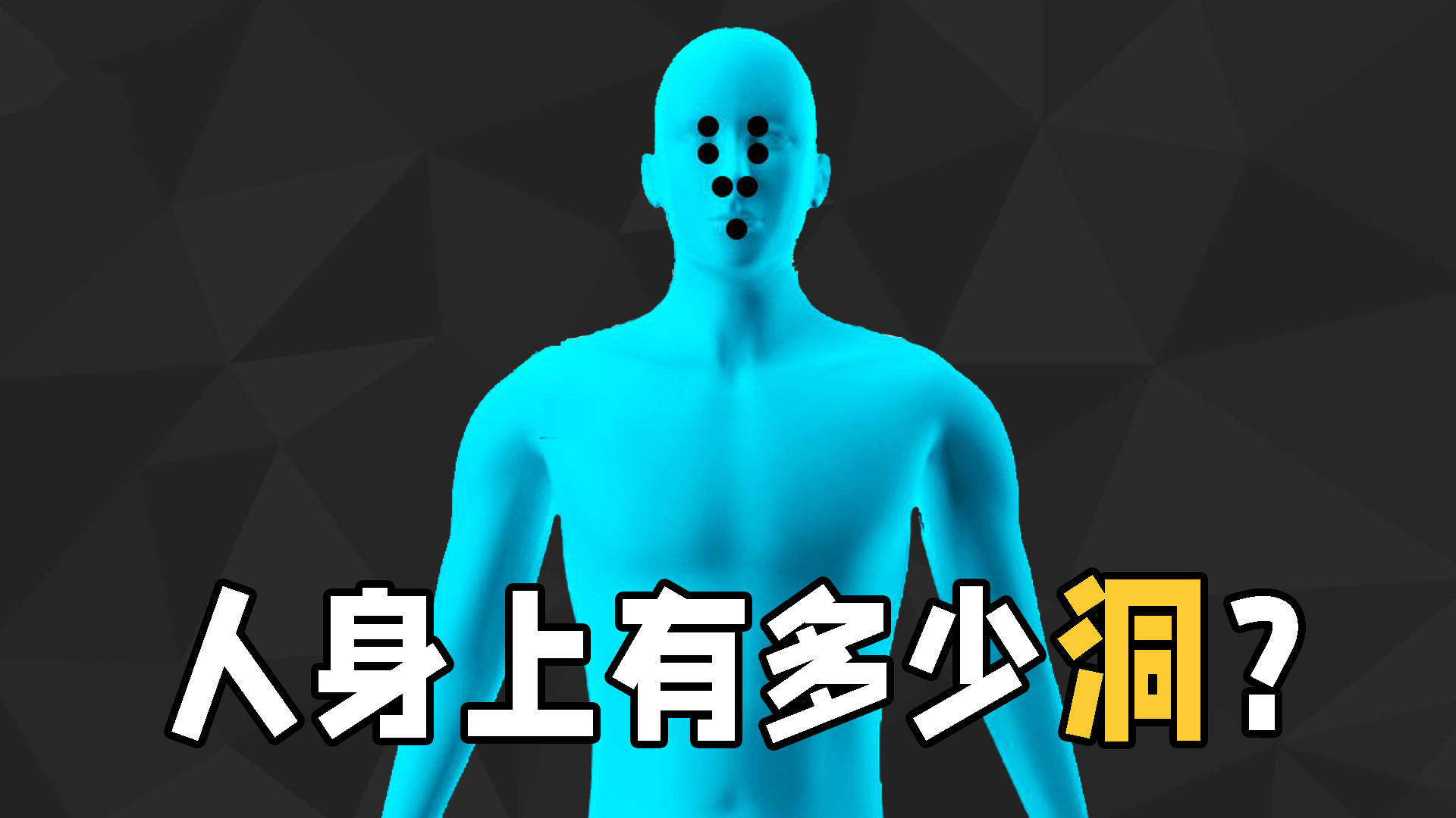 How many holes are there in humans?Where are the seven holes and nine