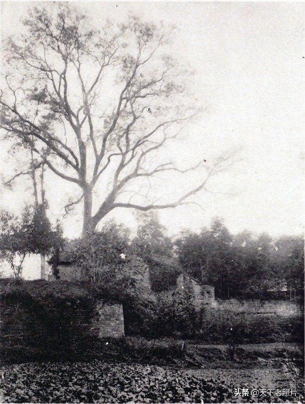 1920年代湖北当阳老照片 百年前的玉泉寺、大通寺、度门寺