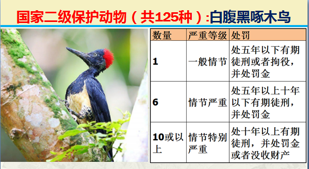 国家最新125类二级野生保护名录，图片及违法对应刑责