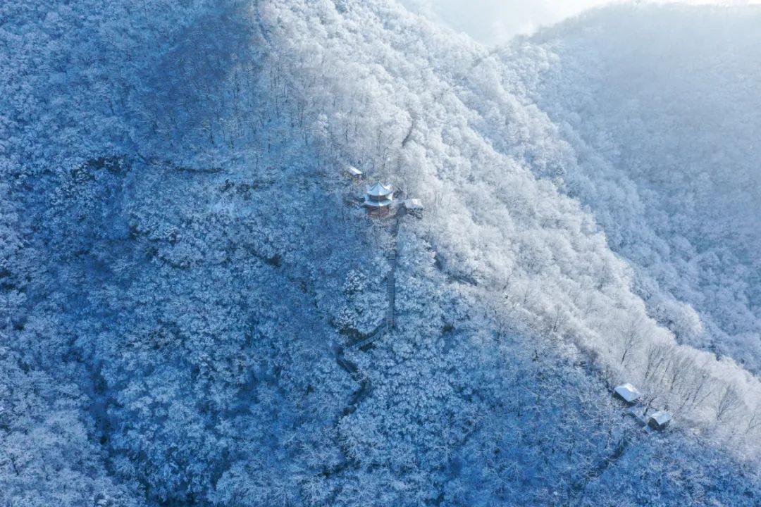 美到爆！云台山迎春日“桃花雪”！雪山云海宛若仙境