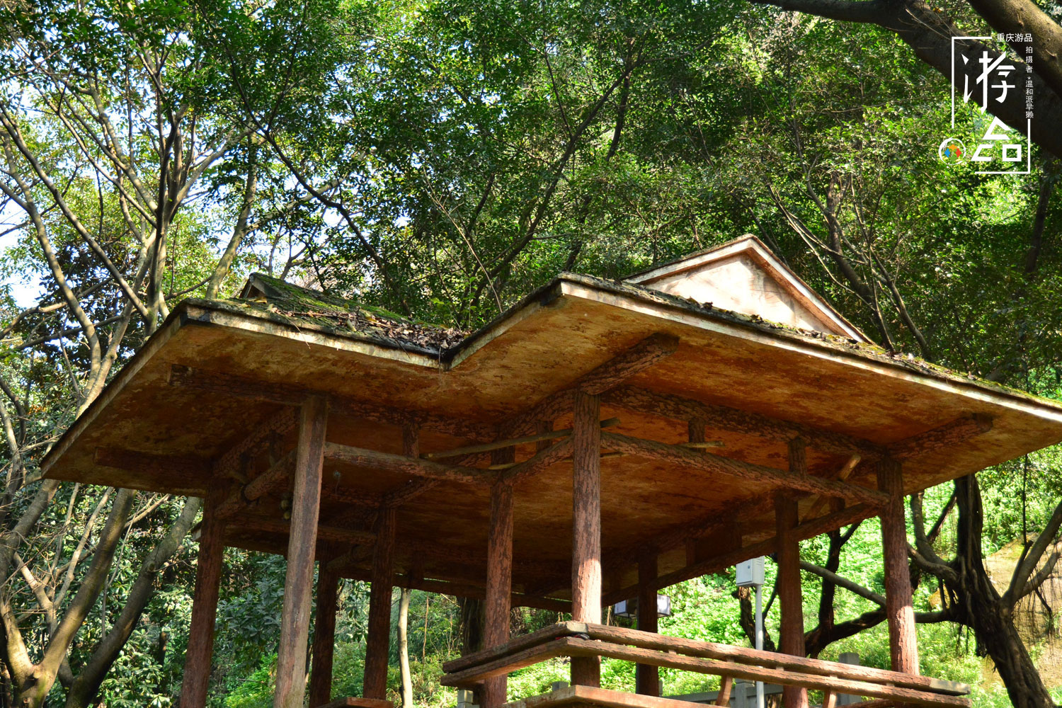 重庆百年古迹被毁，只为建职业教育中心，佛图关再无夜雨寺