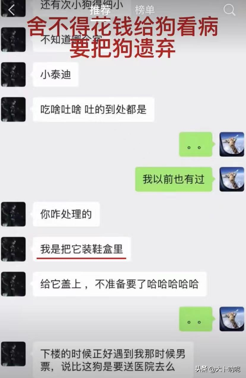 【张恒否认教郑爽偷税漏税】放出录音猛料，扯下郑爽最后的遮羞布