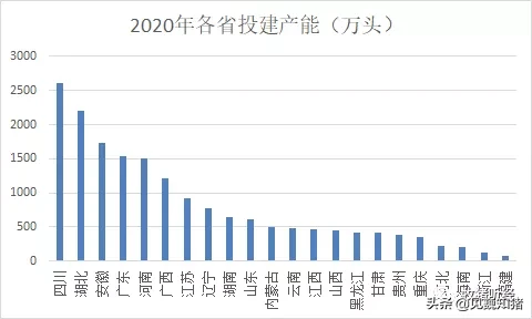 2020年生猪养殖投资情况梳理