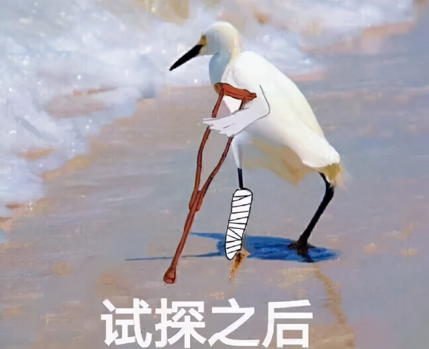 大河报汽车网
