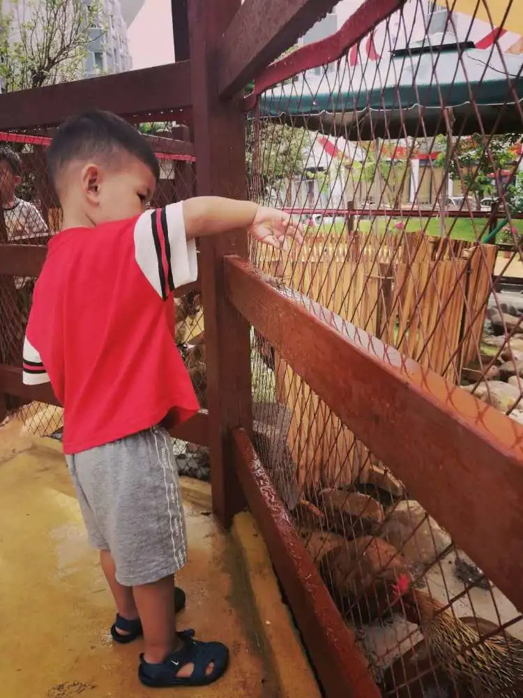 深圳又一遛娃胜地，城市中的自然成长乐园，野趣精致的户外营地