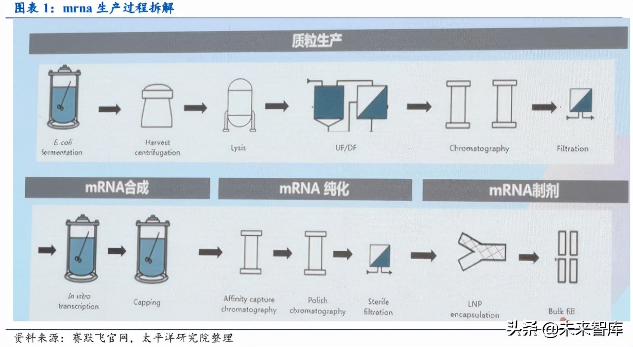 mRNA疫苗相关产业链价值分析：酶是价值链最大的一块