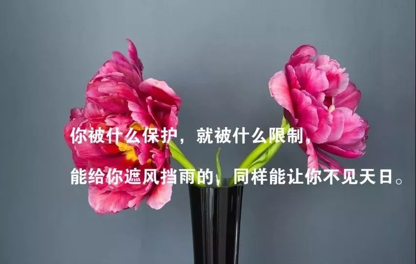 适合发朋友圈人生感悟的经典语录，哪一句触动你！