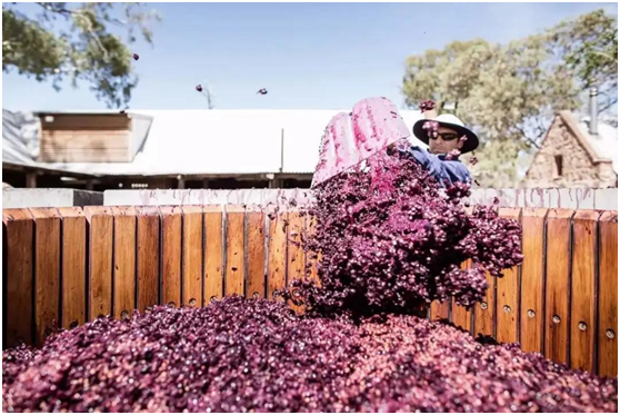 莫里森再次放下狠話，叫囂不會放棄原則，中國立即進行第三輪制裁