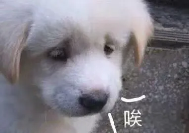 继“一爽”后,毛晓彤成了娱乐圈新的计量单位?