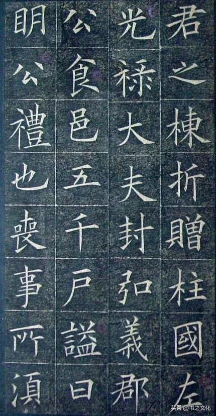 被修复后的欧体,美到骨子里