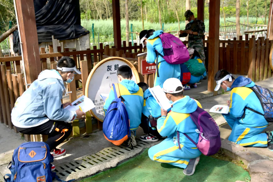 享农趣、觅农情,成都市龙泉驿区第五小学校“农耕”文化节来袭