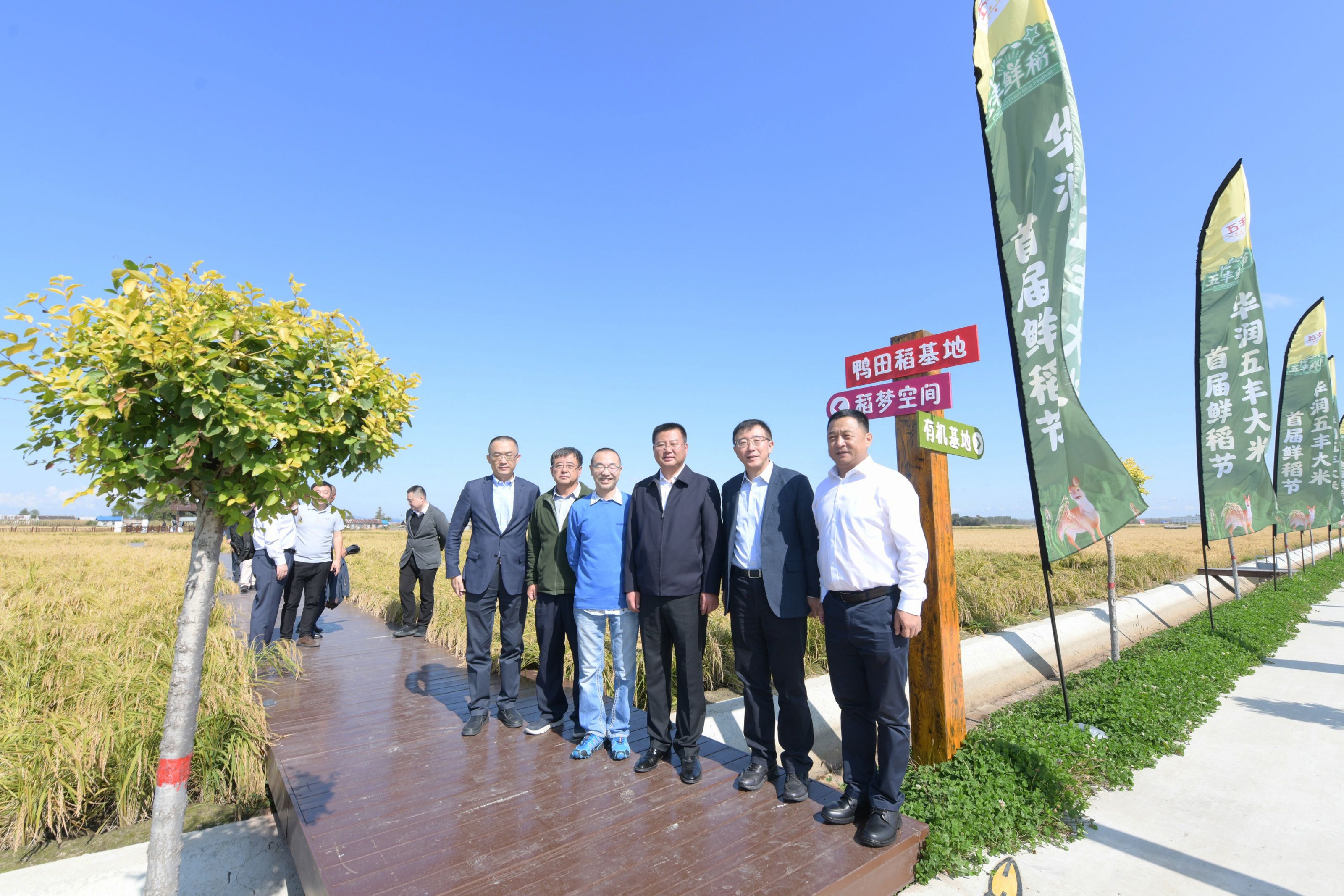 “五丰鲜稻节”盛装启动 黑龙江五常迎来最“潮”丰收季
