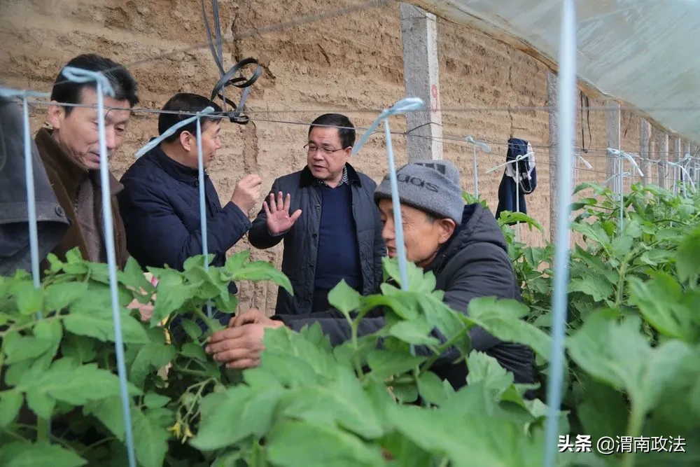 渭南中院荣获2020年度全市脱贫攻坚工作驻村帮扶先进单位
