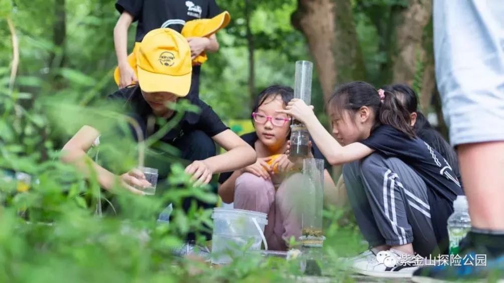 遛娃必看！暑期亲子游超完美打卡旅线来了，南京为你安排上