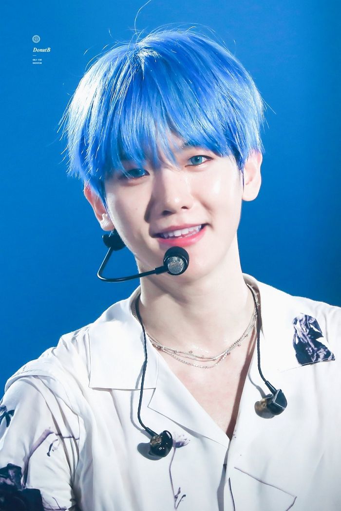 EXO边伯贤自嘲：我的生活像草莓味糖果，因为又