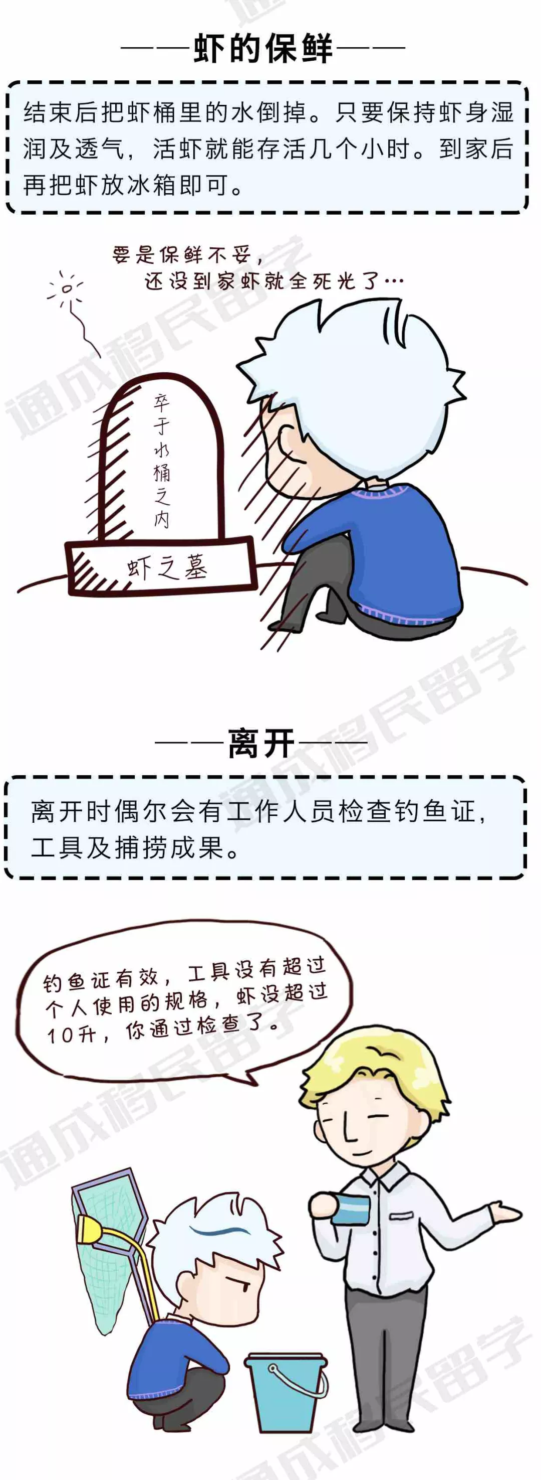 【通小成条漫】悉尼捞虾全攻略