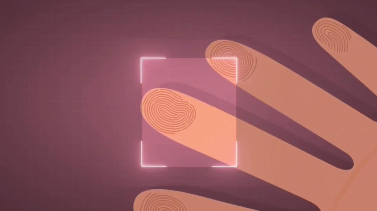 How are fingerprints formed?What is its original function?Do you really