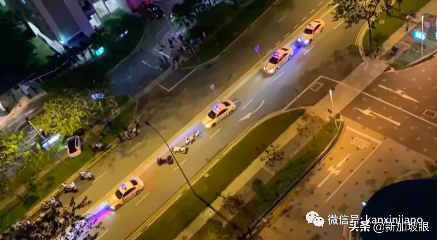 涉毒司机开车逆行逃窜，新加坡警车狂飙14公里缉拿