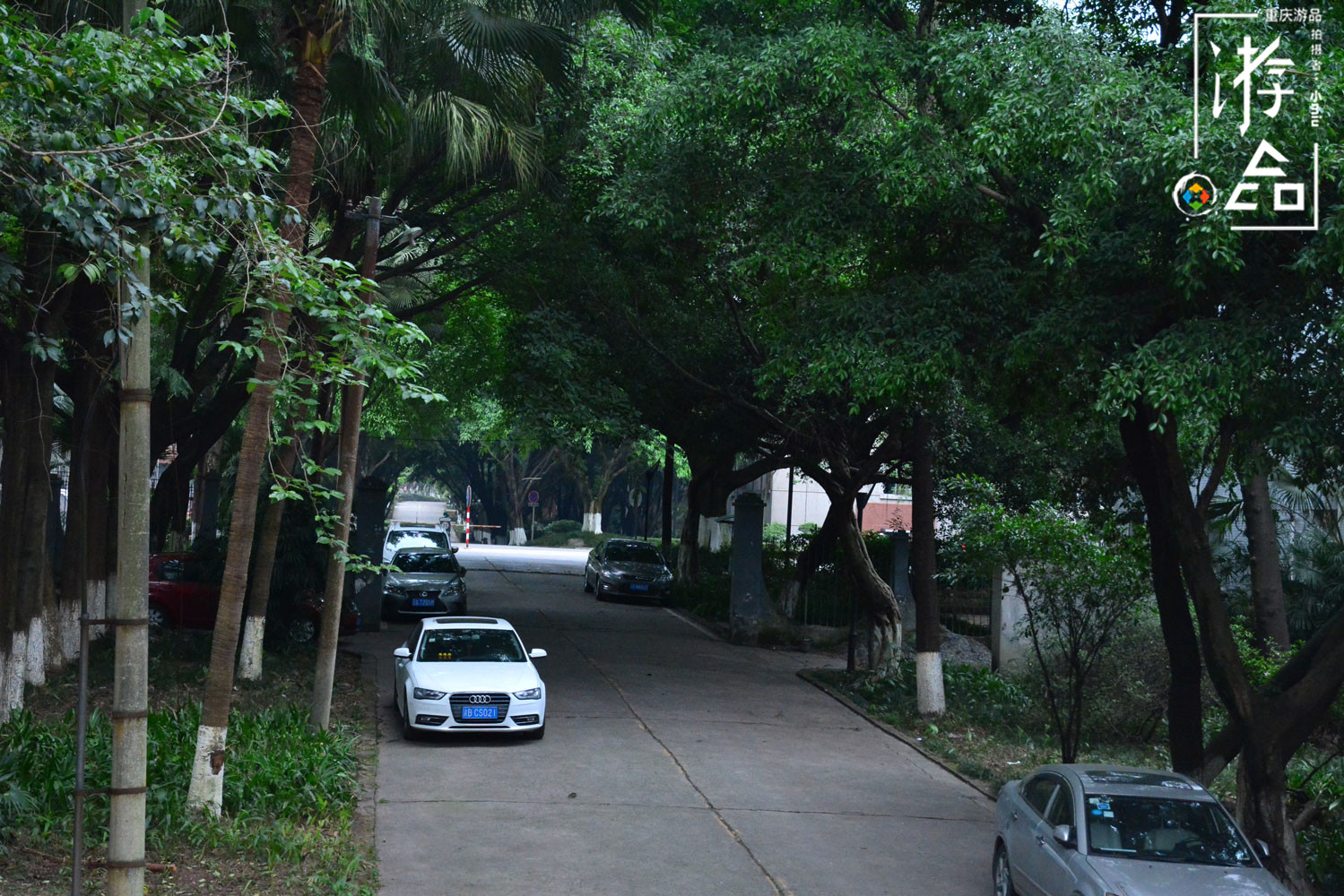 在九龙坡与渝中区之间：重庆最高端的渝州宾馆，到底属于哪个区？