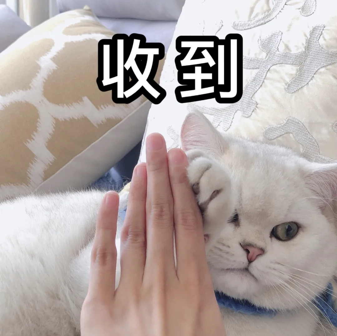 15℃！临沂大降温