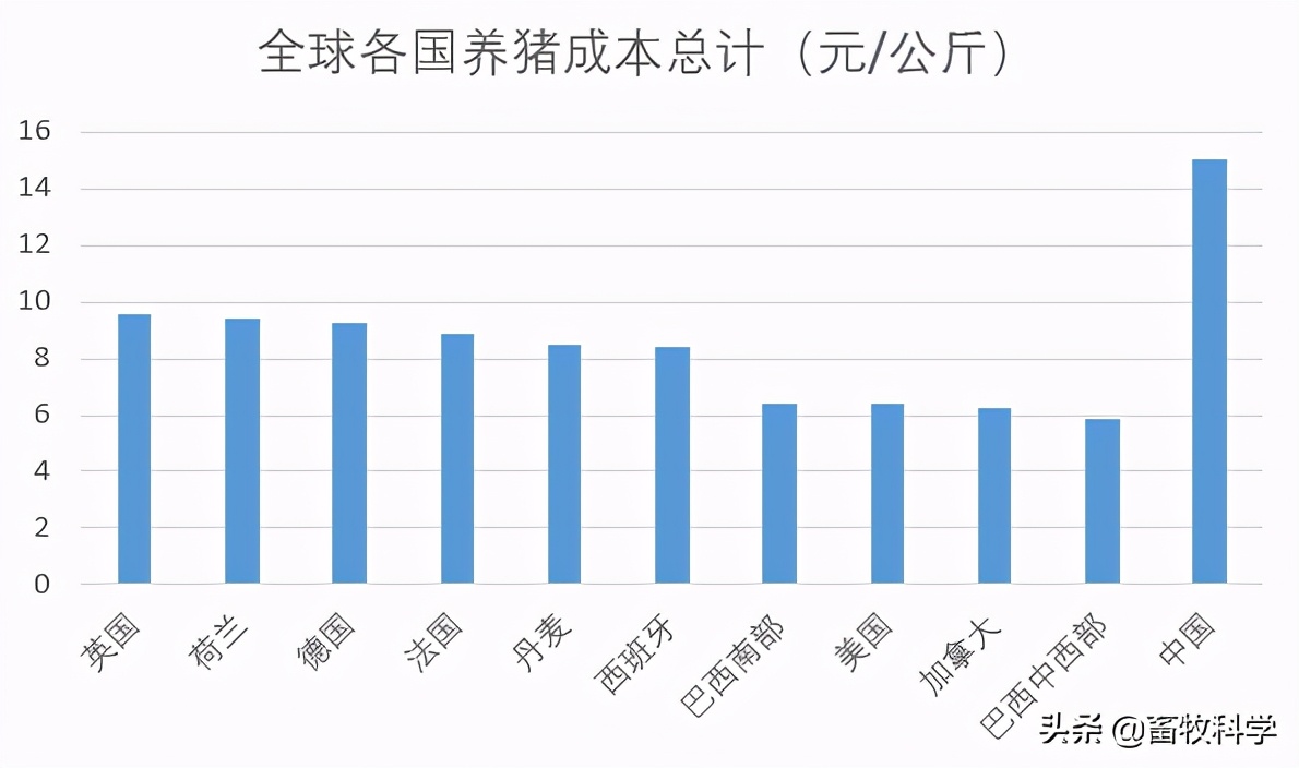 养猪成本每公斤不到6元？全球各国养猪成本大排名