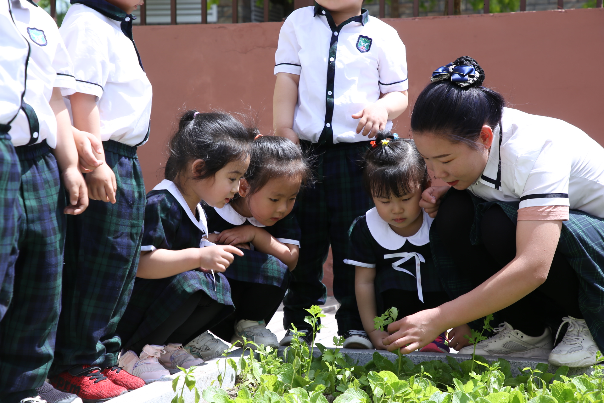 幼兒園加盟哪家好，品牌排行榜要知道