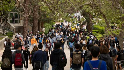 最受留学生欢迎的美国大学TOP20，哥大仅排第4？