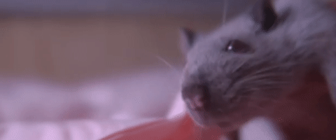 这部全是神反转奇案的解剖纪录片，堪称法医入坑神作