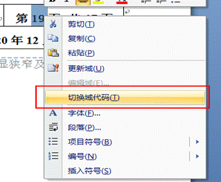 Word中页眉页脚自动插入不同编码规则页码