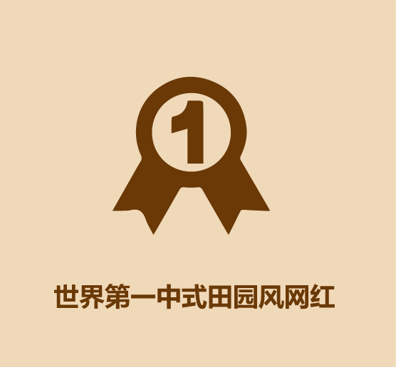 30秒认识李子柒