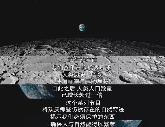十一长假,就看这12部值得刷屏的环保纪录片