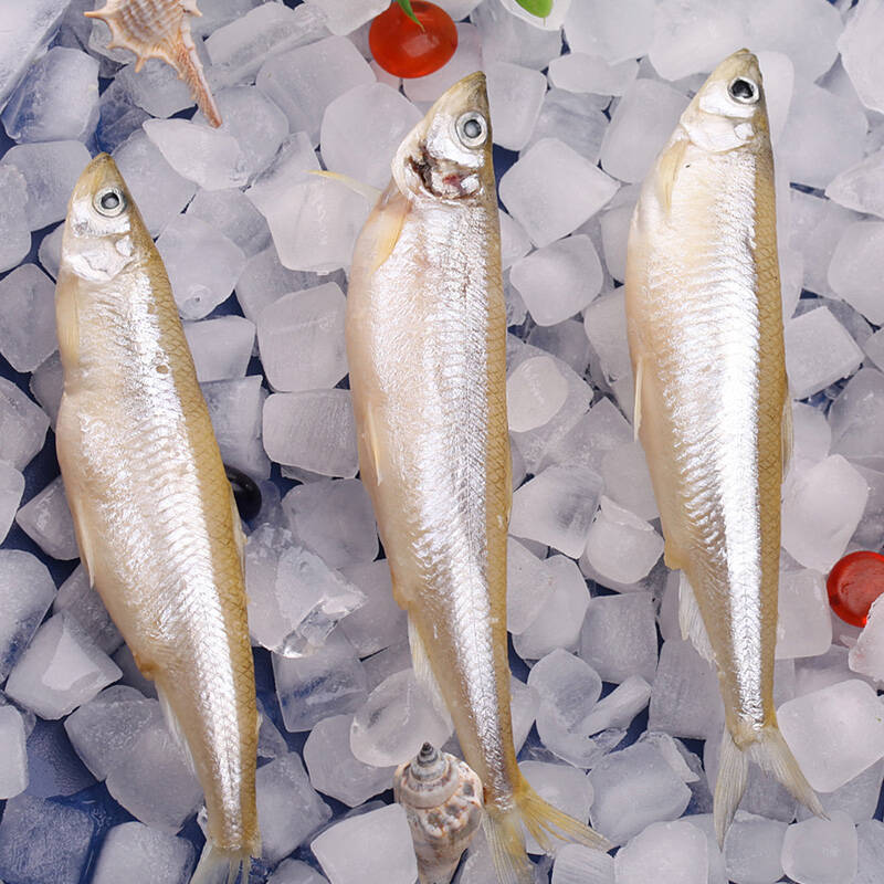 博斯腾湖扁吻鱼灭绝启示外来物种破坏的生态结局还不够惨痛