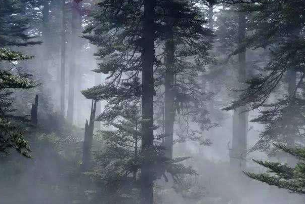 “黄泉路”竟真实存在！已被封锁禁止进入，专