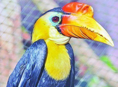 疫情未结束，另一场席卷70亿人的危机还在发生