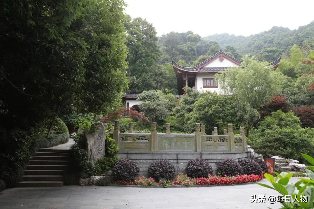老奶奶接棒式诱导,精心策划的套路,没人能躲开龙井村茶叶骗局