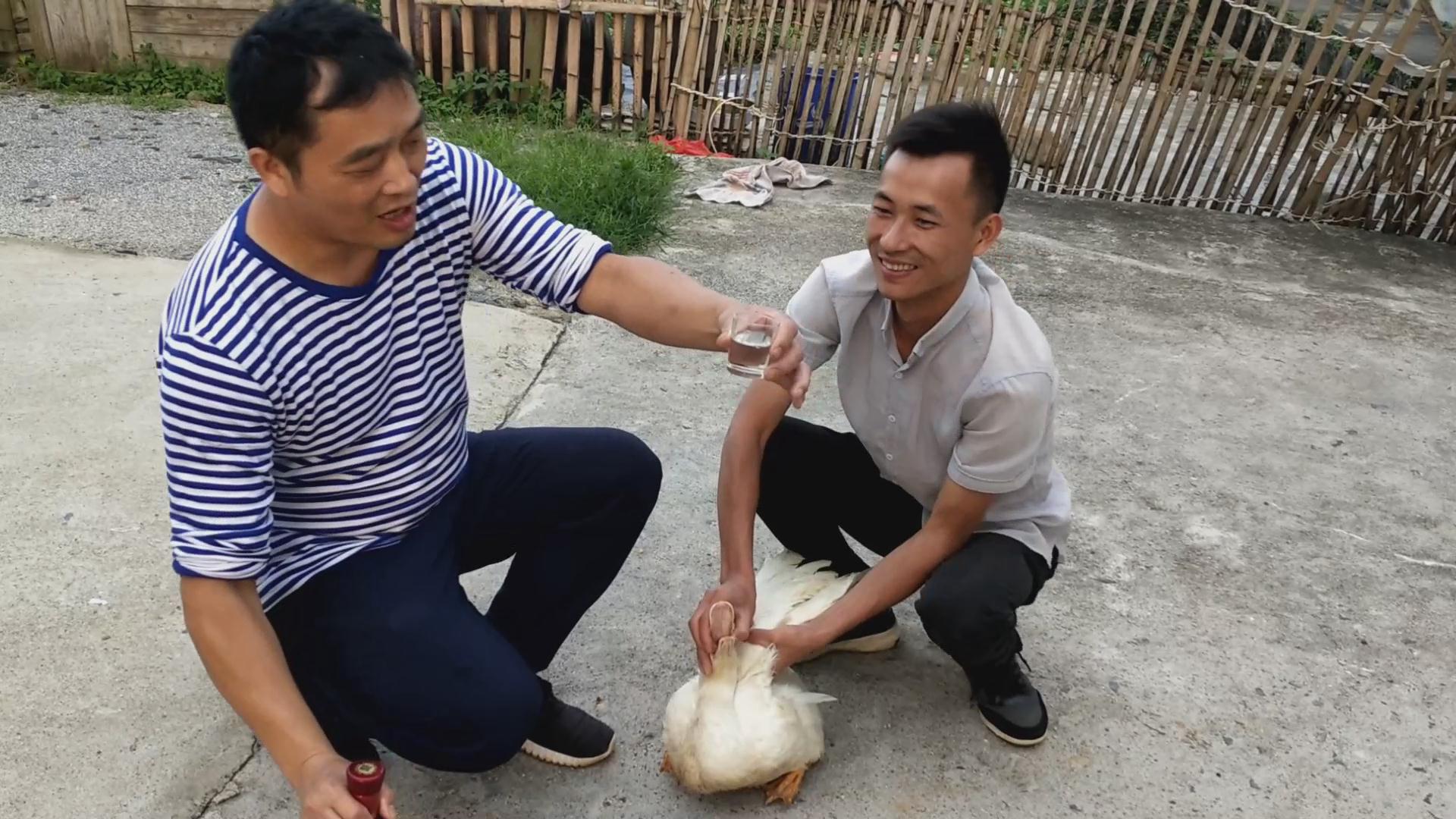 鸭子脱毛原来可以用这种方法，就像脱衣服一样快，长见识了