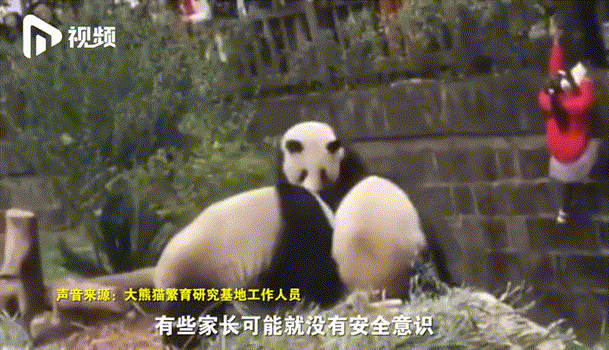 沒有規矩的家庭，比貧窮更可怕（值得收藏！）